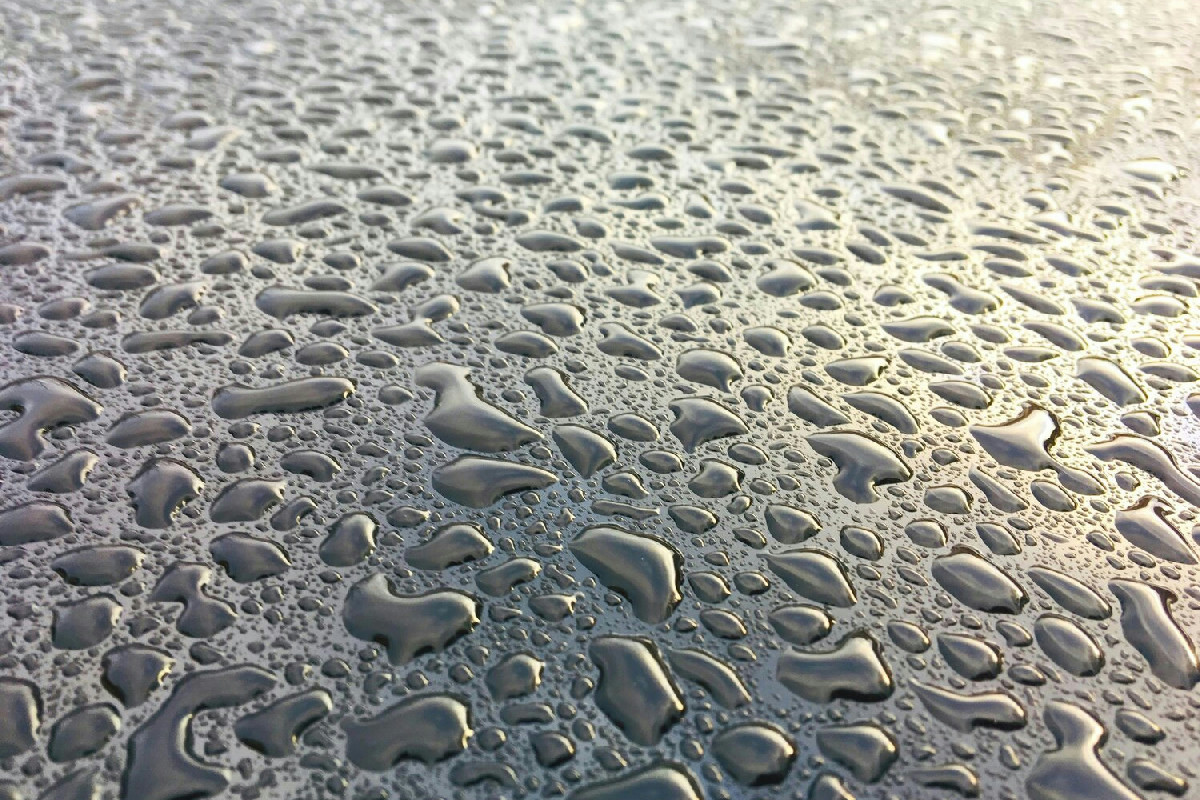 Cause comuni di umidità e condensa a pavimento e soluzioni per proteggere pareti e ambienti